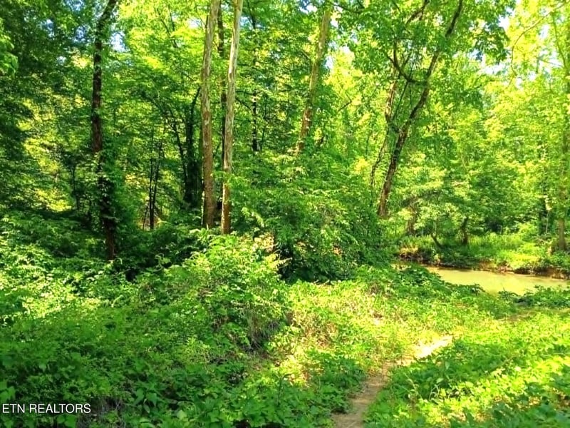 9025 Conner Rd, Powell, TN 37849