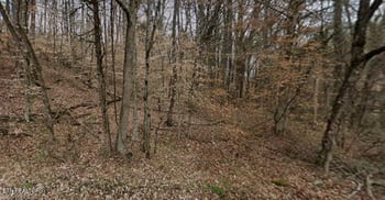 9025 Conner Rd, Powell, TN 37849