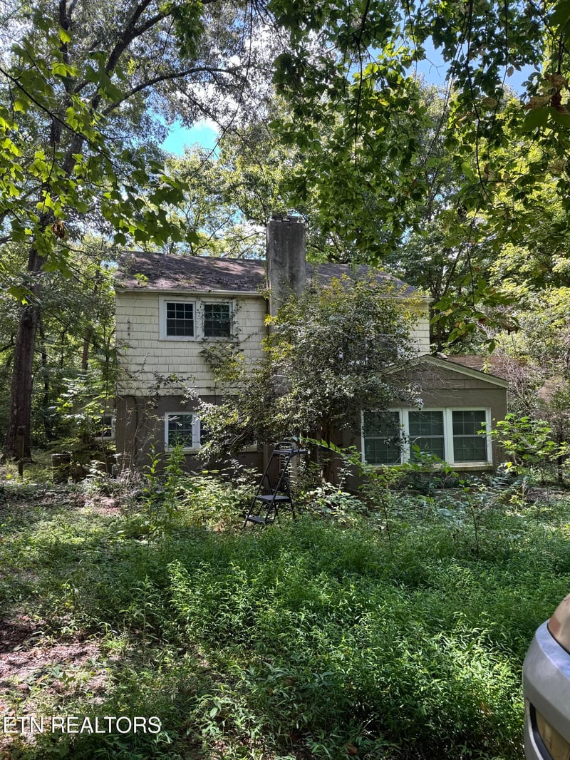 905 Brown Mountain Loop Rd #Brown :Mountain Loop Rd, Knoxville, TN 37920