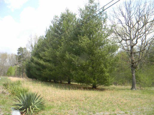 906 Stone, Crossville, TN 38571