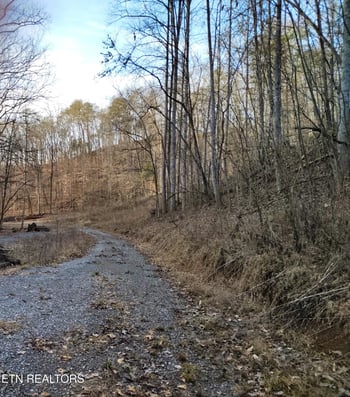 907 Sharp Rd, Sevierville, TN 37876