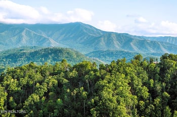 907 Village Loop Rd, Gatlinburg, TN 37738