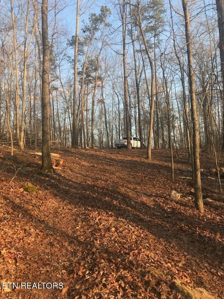 9076 Davis Ferry Rd, Loudon, TN 37774