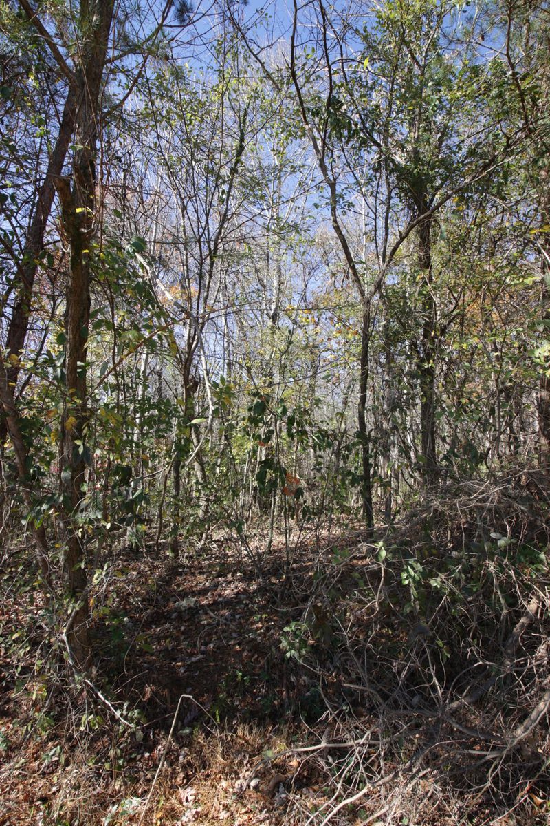 908 Doe Dr, Greenback, TN 37742