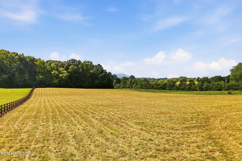 909 County Rd #053.00, Etowah, TN 37331