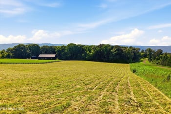 909 County Rd #053.00, Etowah, TN 37331