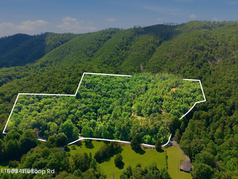 909 The Loop Rd, Walland, TN 37886