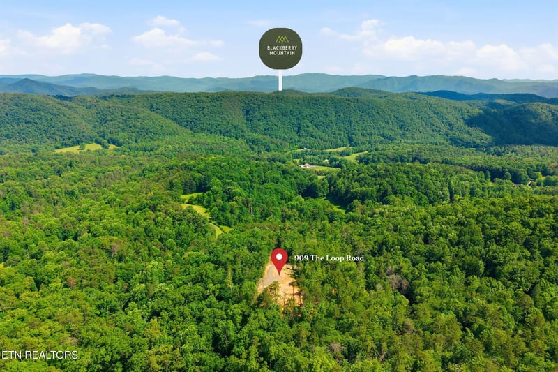 909 The Loop Rd, Walland, TN 37886