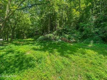 9109 Pickens Gap Rd, Knoxville, TN 37920