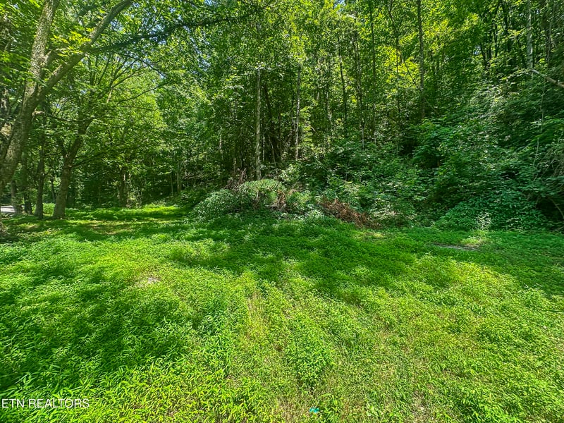 9109 Pickens Gap Rd, Knoxville, TN 37920