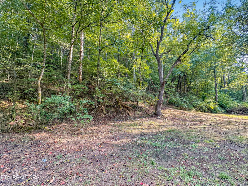 9109 Pickens Gap Rd, Knoxville, TN 37920