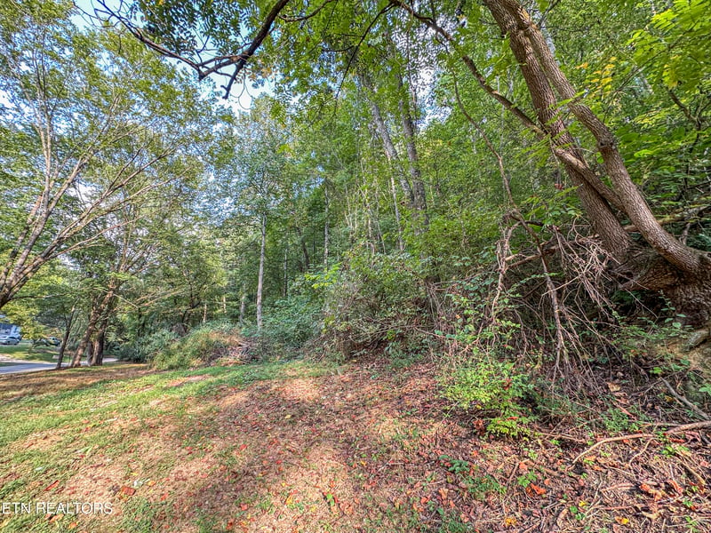 9109 Pickens Gap Rd, Knoxville, TN 37920