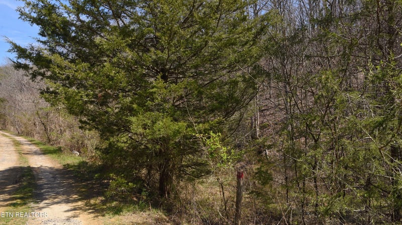 912 Coolie King Rd, Kodak, TN 37764