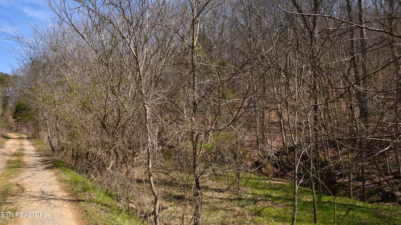 912 Coolie King Rd, Kodak, TN 37764