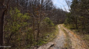 912 Coolie King Rd, Kodak, TN 37764