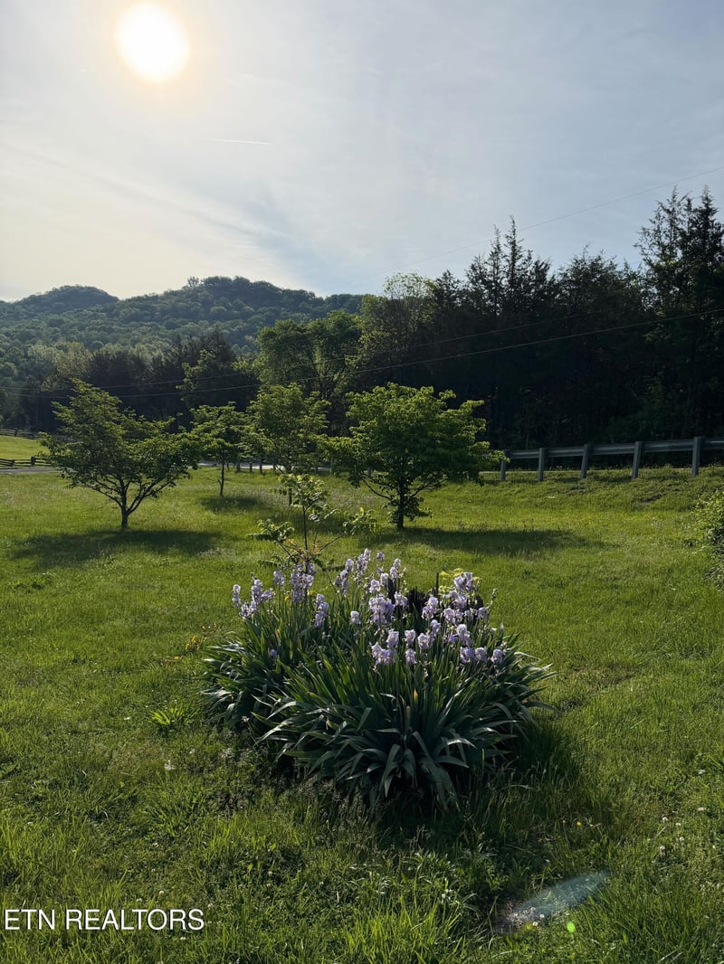912 Raccoon Valley Rd, Maynardville, TN 37807