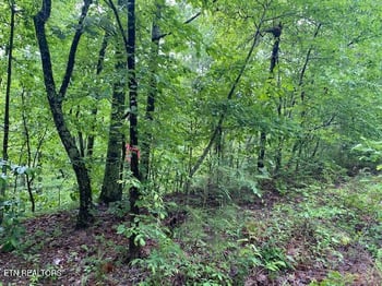 9129 Lynnwood Ln, Rockford, TN 37853