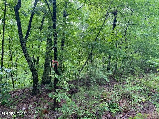 9129 Lynnwood Ln, Rockford, TN 37853
