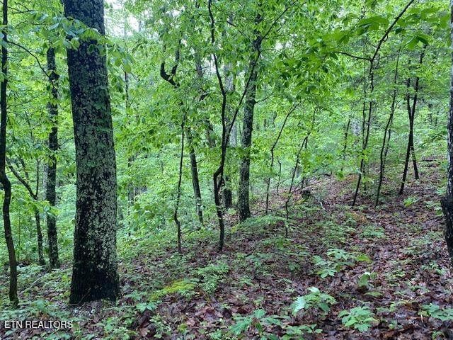 9129 Lynnwood Ln, Rockford, TN 37853
