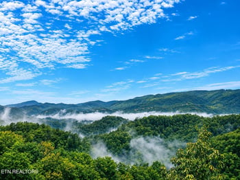 914 Black Bear Cub Way, Sevierville, TN 37862