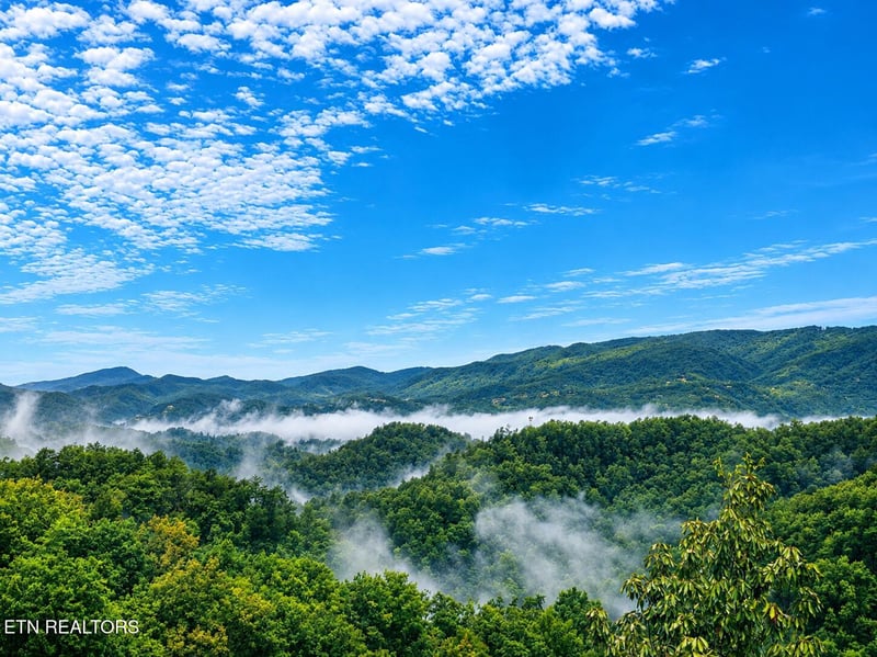 914 Black Bear Cub Way, Sevierville, TN 37862