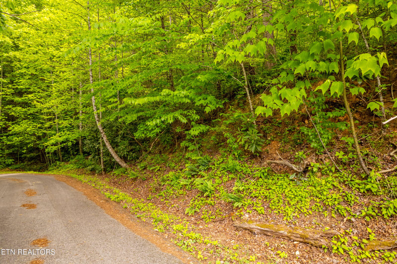 914 Stonegate Way, Townsend, TN 37882