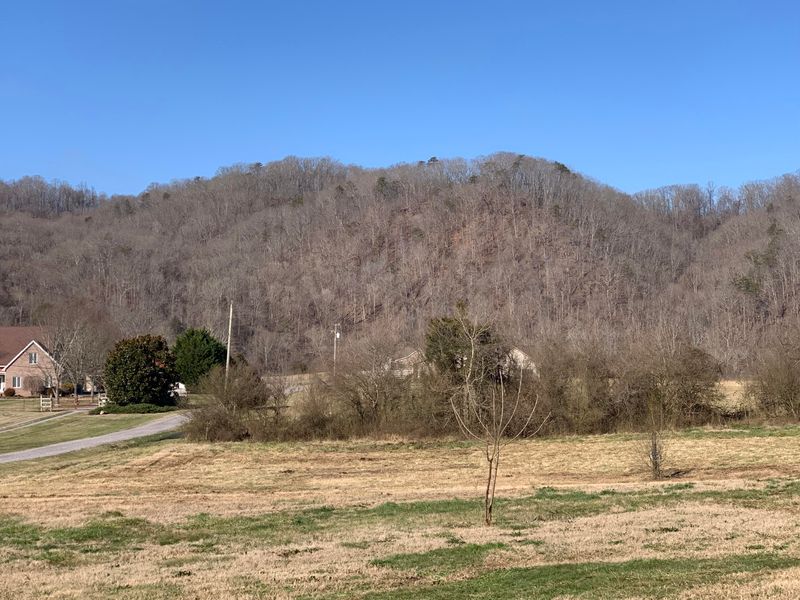 9145 Bright Ln, Powell, TN 37849