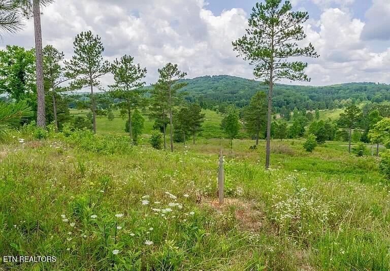 915 Eagle Nest Dr, Loudon, TN 37774