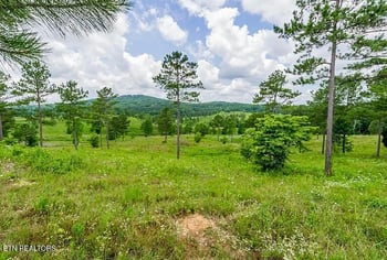 915 Eagle Nest Dr, Loudon, TN 37774