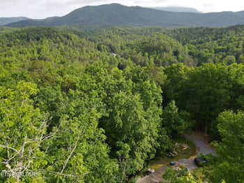 915 Yellow Breeches Rd, Cosby, TN 37722