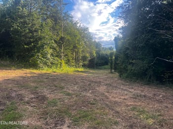 9150 Brownlow Newman Ln, Knoxville, TN 37914
