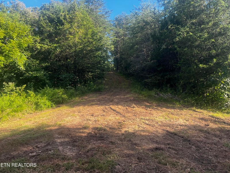 9150 Brownlow Newman Ln, Kodak, TN 37764