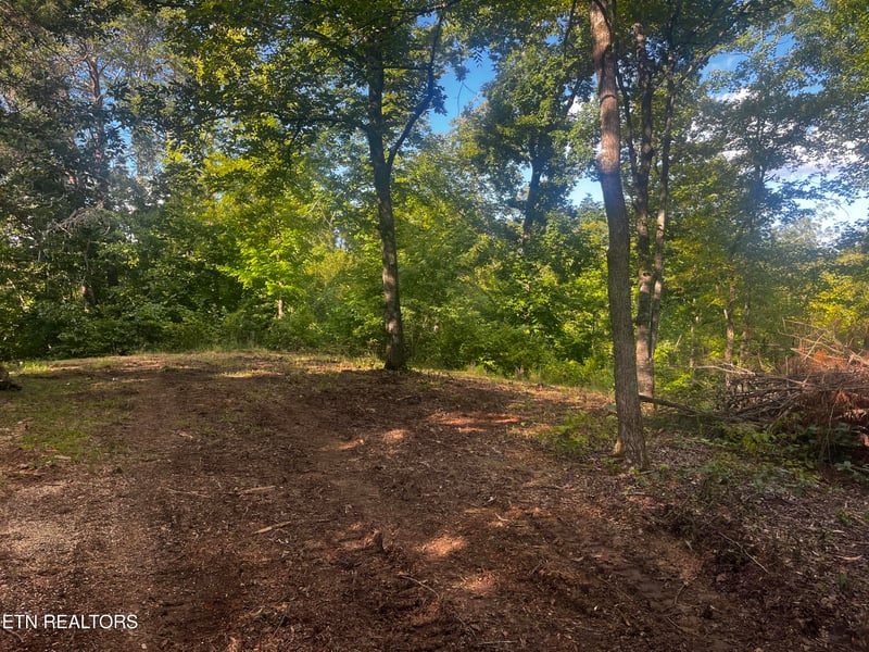9150 Brownlow Newman Ln, Kodak, TN 37764