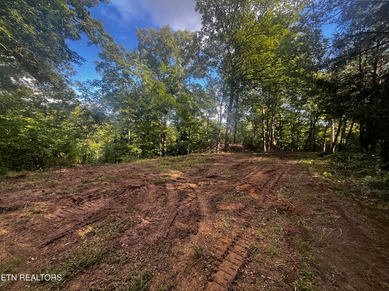 9150 Brownlow Newman Ln, Kodak, TN 37764