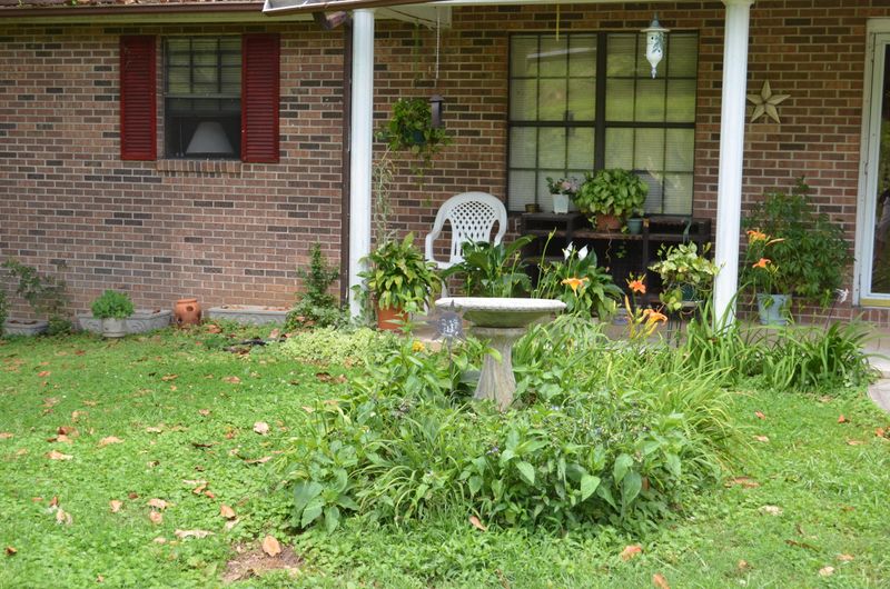 916 Back Valley Rd, Oliver Springs, TN 37840