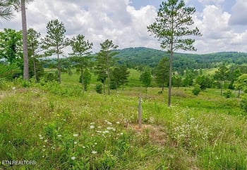 917 Eagle Nest Dr, Loudon, TN 37774