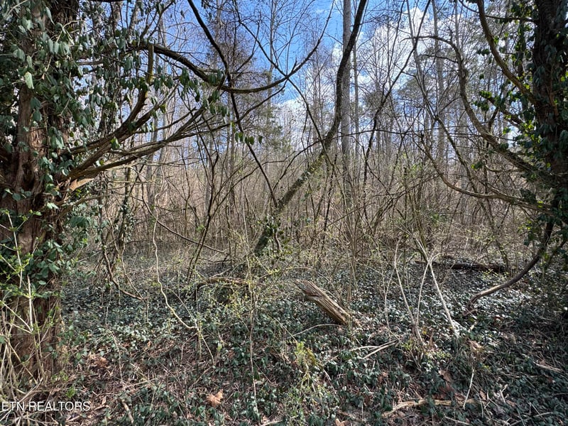 918 Mccubbins Rd, Strawberry Plains, TN 37871