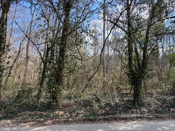 918 Mccubbins Rd, Strawberry Plains, TN 37871