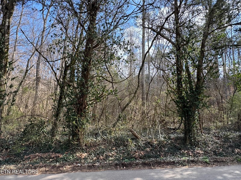 918 Mccubbins Rd, Strawberry Plains, TN 37871