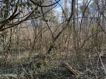 918 Mccubbins Rd, Strawberry Plains, TN 37871