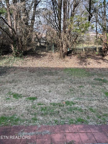 919 Chip Cove Ln, Knoxville, TN 37938