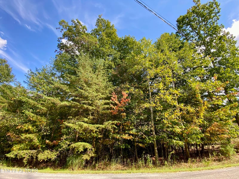 92 Hanning Dr, Crossville, TN 38558