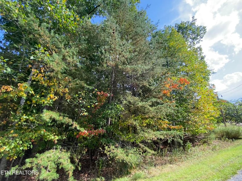 92 Hanning Dr, Crossville, TN 38558