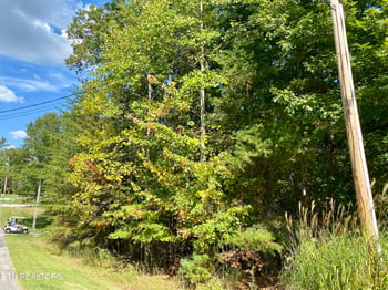 92 Hanning Dr, Crossville, TN 38558