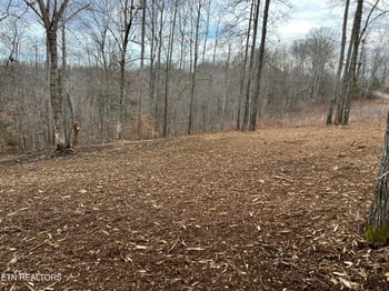 92 Lot Saddleridge Dr, Speedwell, TN 37870