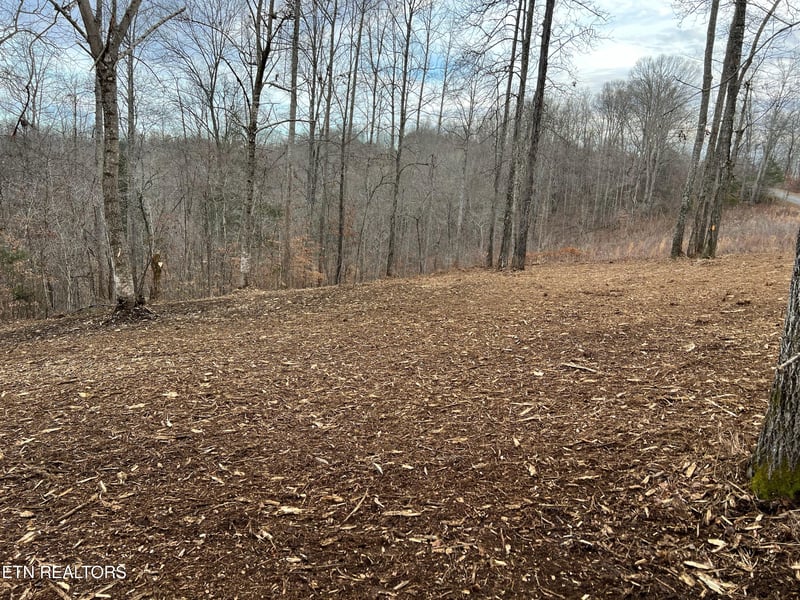 92 Lot Saddleridge Dr, Speedwell, TN 37870