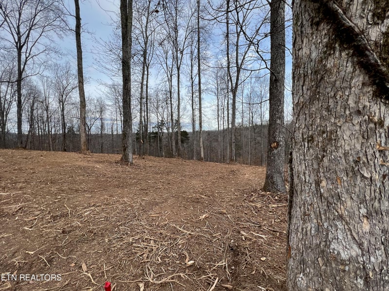 92 Lot Saddleridge Dr, Speedwell, TN 37870