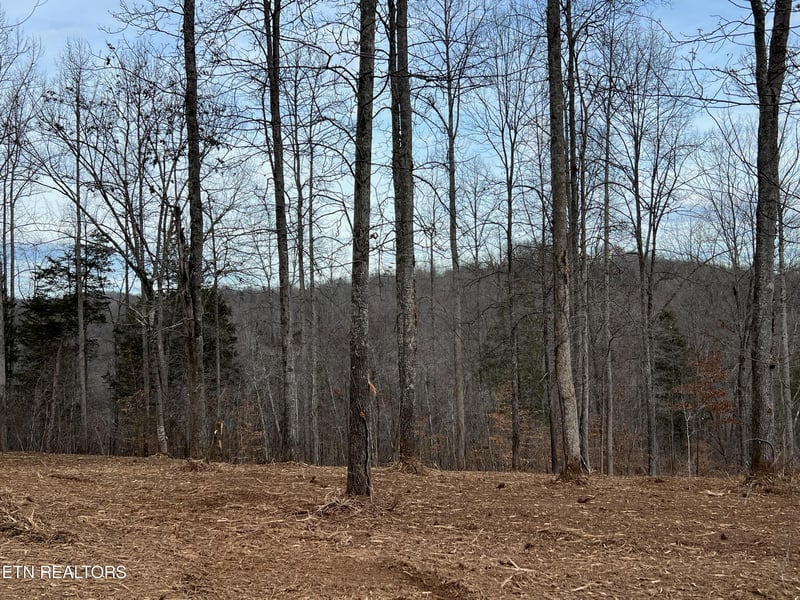 92 Lot Saddleridge Dr, Speedwell, TN 37870