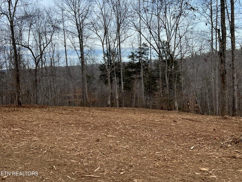 92 Lot Saddleridge Dr, Speedwell, TN 37870