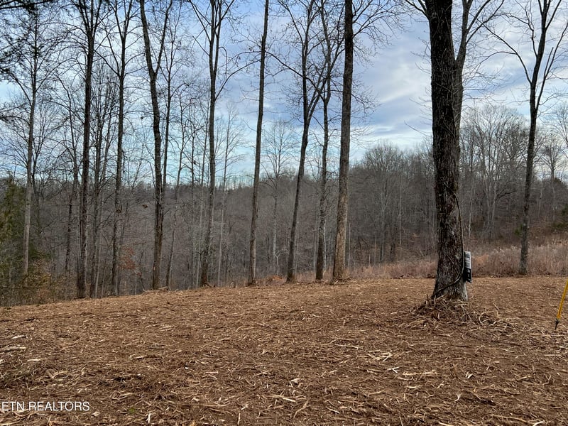 92 Lot Saddleridge Dr, Speedwell, TN 37870